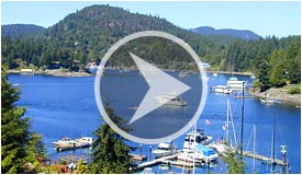 Live Dock & Harbour Cams